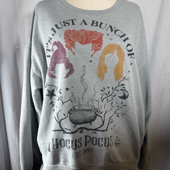 Disney Tops - Gray Hocus Pocus Graphic Sweatshirt Women’s Size XXXL (21)